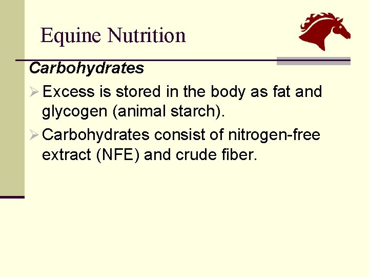 Equine Nutrition Carbohydrates Ø Excess is stored in the body as fat and glycogen