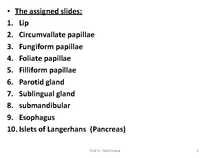  • The assigned slides: 1. Lip 2. Circumvallate papillae 3. Fungiform papillae 4.