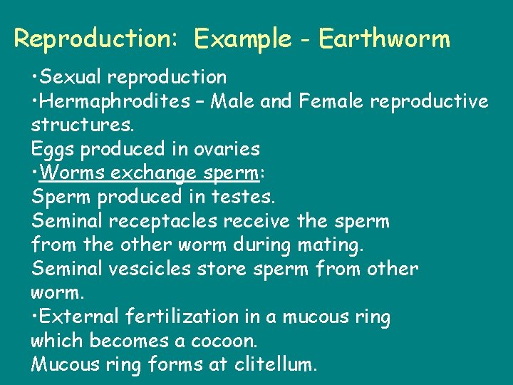 Reproduction: Example - Earthworm • Sexual reproduction • Hermaphrodites – Male and Female reproductive