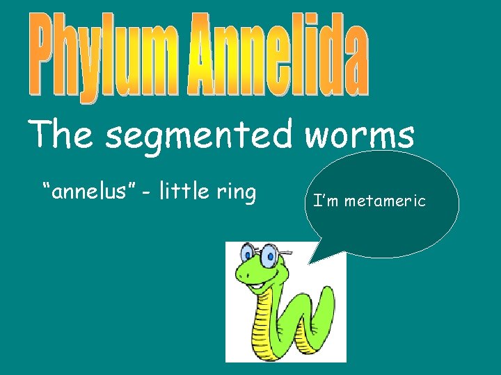 The segmented worms “annelus” - little ring I’m metameric 