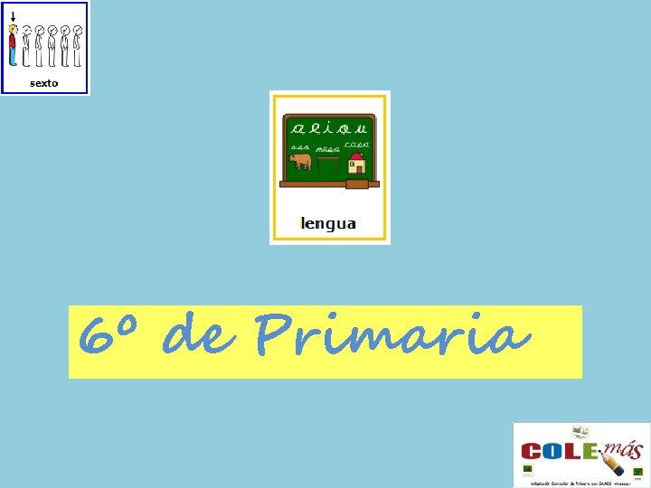 6º de Primaria 