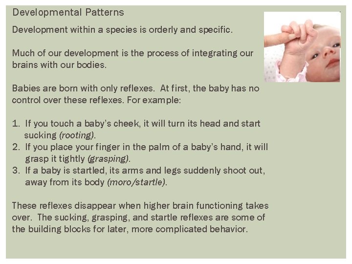 Developmental Patterns Development within a species is orderly and specific. Much of our development