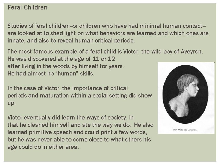 Feral Children Studies of feral children--or children who have had minimal human contact-are looked