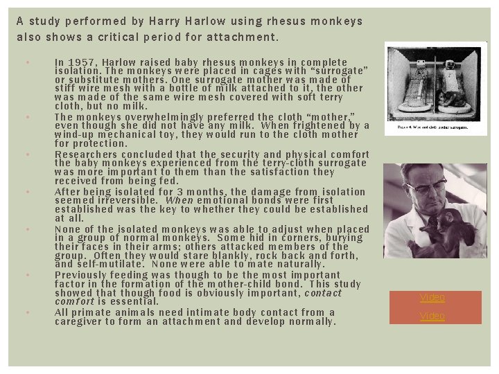 A study performed by Harry Harlow using rhesus monkeys also shows a critical period