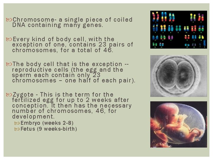 Chromosome- a single piece of coiled DNA containing many genes. Every kind of