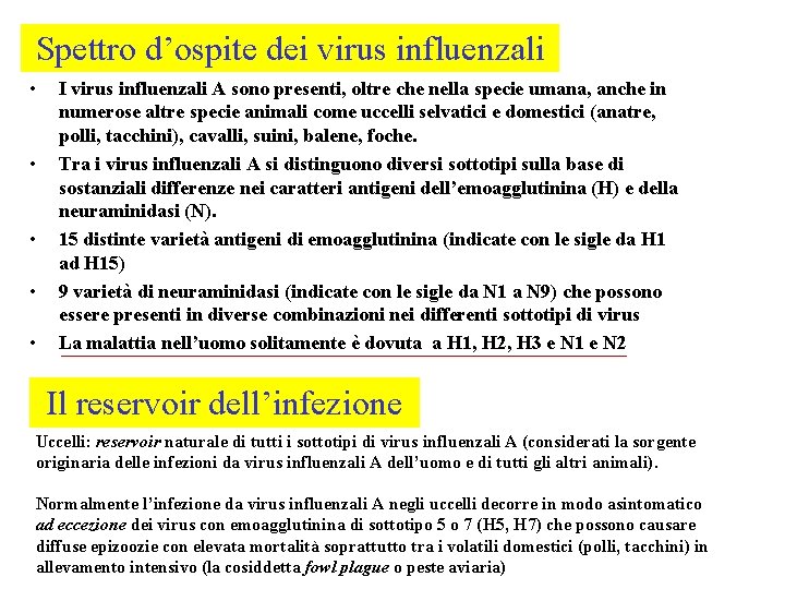 Spettro d’ospite dei virus influenzali • • • I virus influenzali A sono presenti,