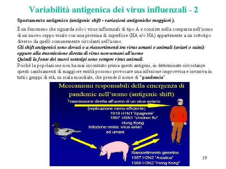 Variabilità antigenica dei virus influenzali - 2 Spostamento antigenico (antigenic shift - variazioni antigeniche