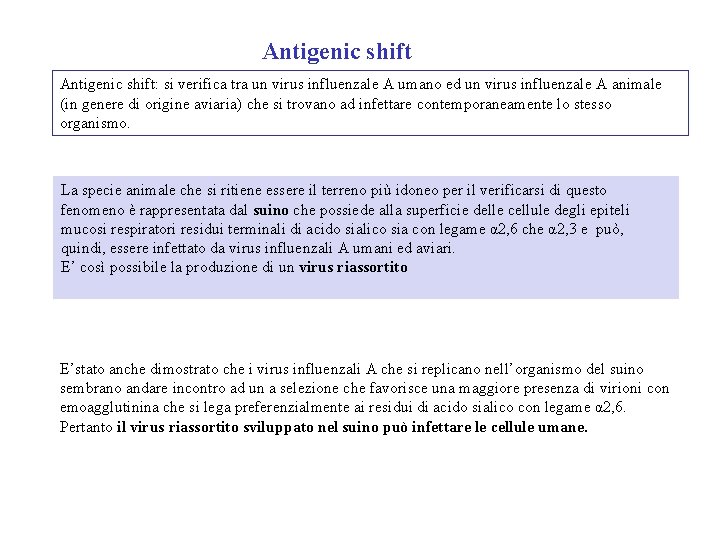 Antigenic shift: si verifica tra un virus influenzale A umano ed un virus influenzale