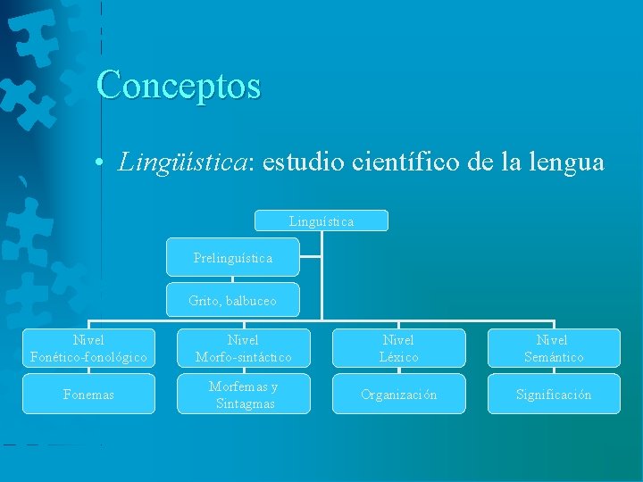 Conceptos • Lingüística: estudio científico de la lengua Linguística Prelinguística Grito, balbuceo Nivel Fonético-fonológico