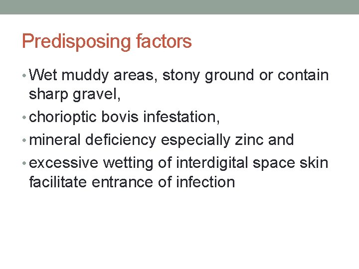 Predisposing factors • Wet muddy areas, stony ground or contain sharp gravel, • chorioptic