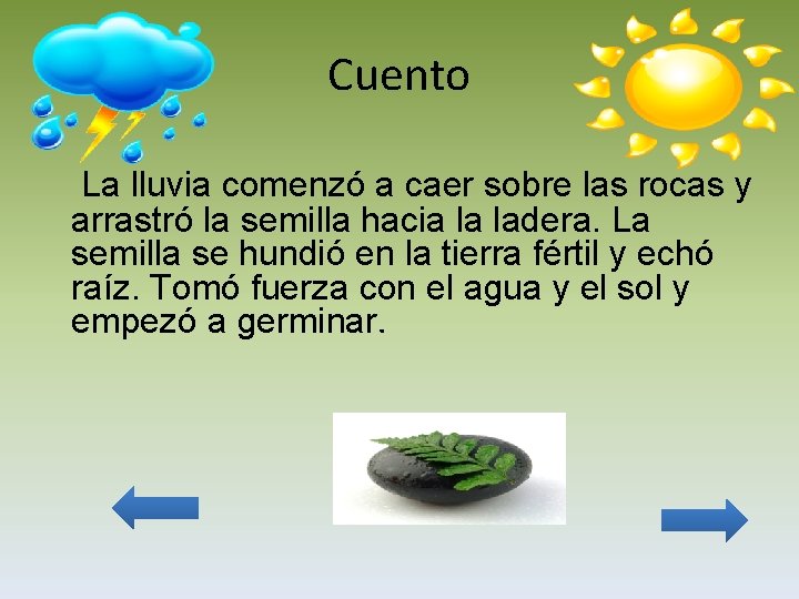 Cuento La lluvia comenzó a caer sobre las rocas y arrastró la semilla hacia