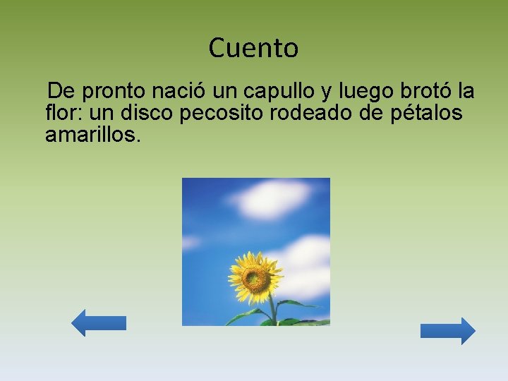 Cuento De pronto nació un capullo y luego brotó la flor: un disco pecosito