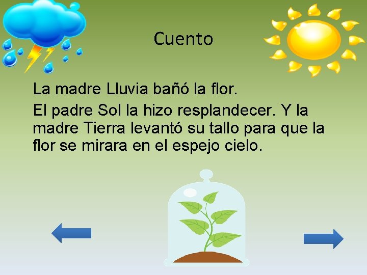 Cuento La madre Lluvia bañó la flor. El padre Sol la hizo resplandecer. Y