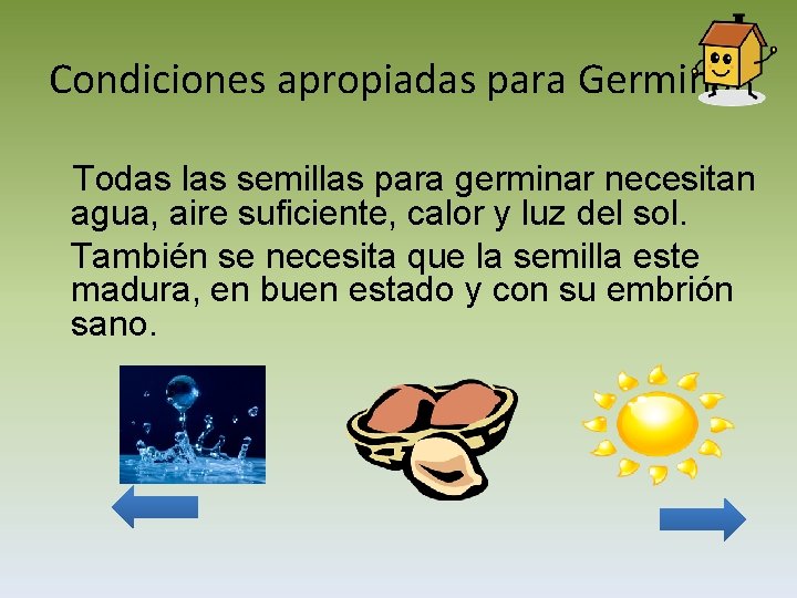 Condiciones apropiadas para Germinar Todas las semillas para germinar necesitan agua, aire suficiente, calor