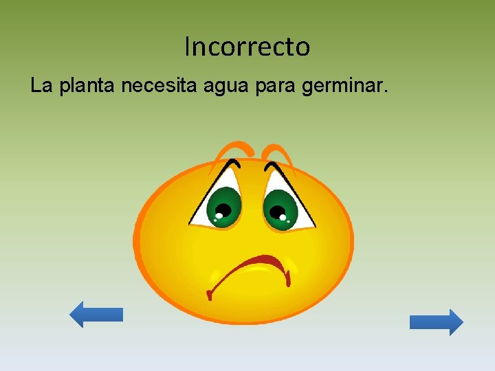 Incorrecto La planta necesita agua para germinar. 