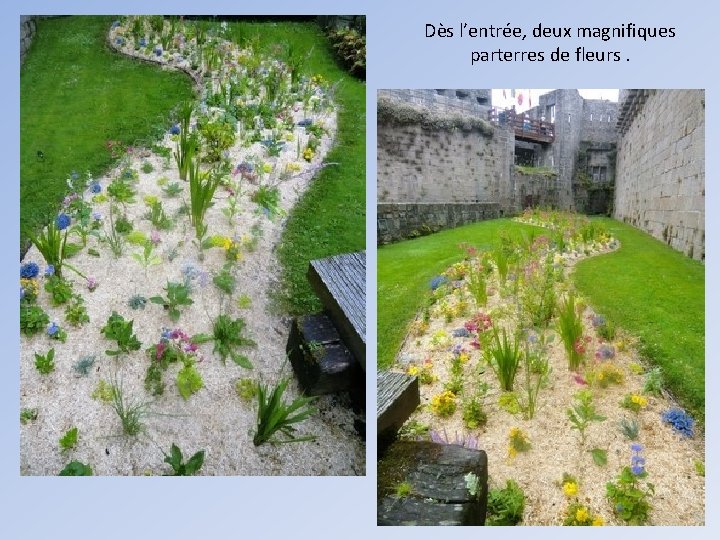 Dès l’entrée, deux magnifiques parterres de fleurs. 