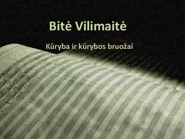 Bitė Vilimaitė Kūryba ir kūrybos bruožai 