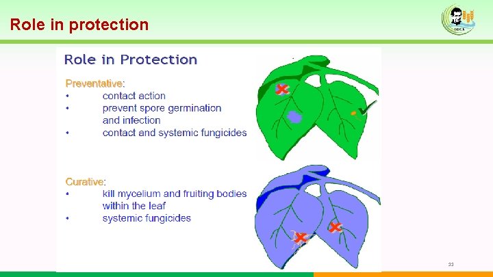 Role in protection 11 Role in protection 11