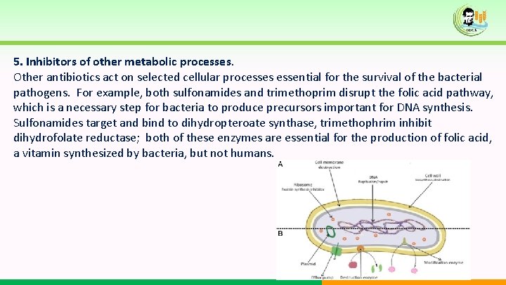5. Inhibitors of other metabolic processes. Other antibiotics act on selected cellular processes essential 5. Inhibitors of other metabolic processes. Other antibiotics act on selected cellular processes essential