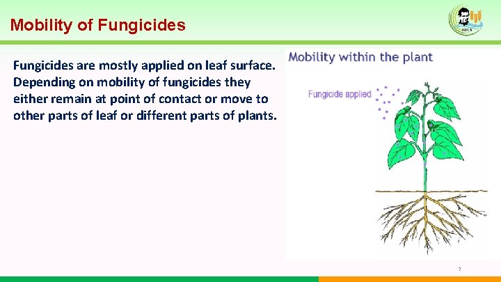 Mobility of Fungicides are mostly applied on leaf surface. Depending on mobility of fungicides Mobility of Fungicides are mostly applied on leaf surface. Depending on mobility of fungicides