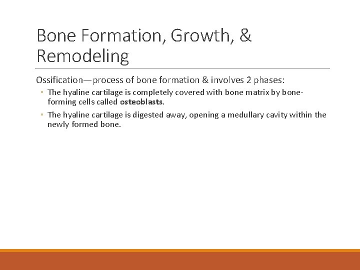 Bone Formation, Growth, & Remodeling Ossification—process of bone formation & involves 2 phases: ◦