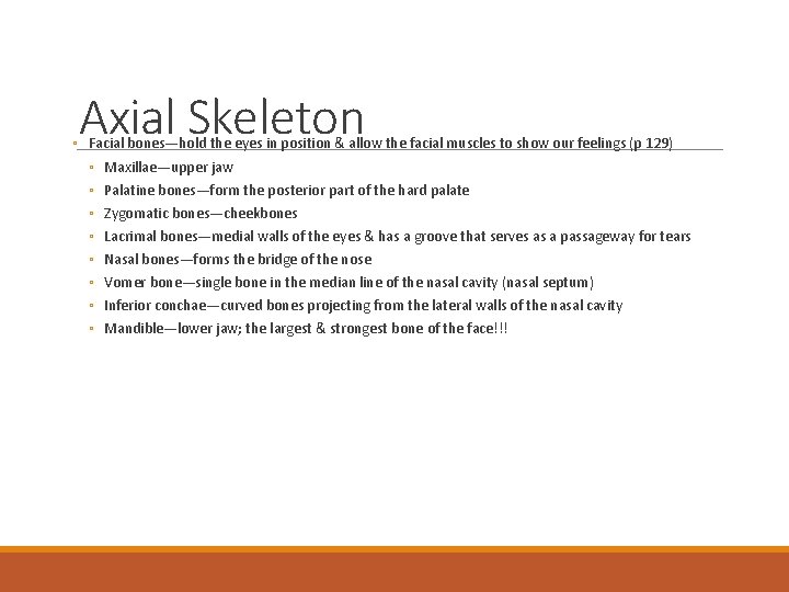Axial Skeleton ◦ Facial bones—hold the eyes in position & allow the facial muscles