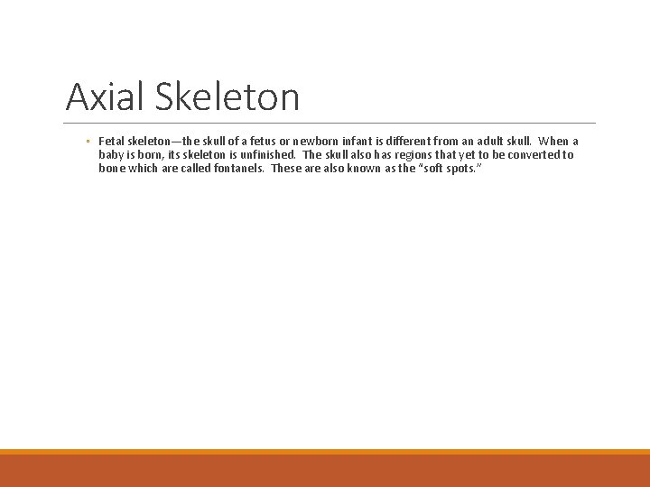 Axial Skeleton ◦ Fetal skeleton—the skull of a fetus or newborn infant is different