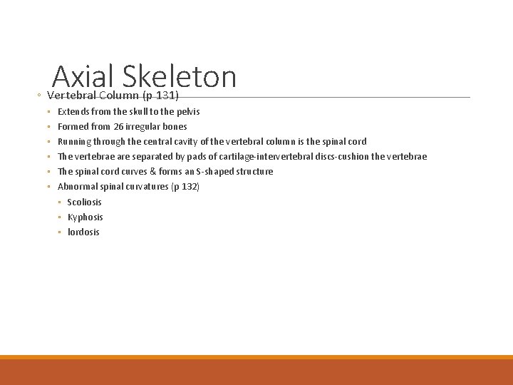Axial Skeleton ◦ Vertebral Column (p 131) ◦ ◦ ◦ Extends from the skull