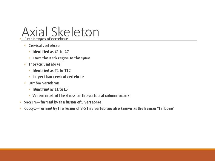 Axial Skeleton ◦ 3 main types of vertebrae ◦ Cervical vertebrae ◦ Identified as