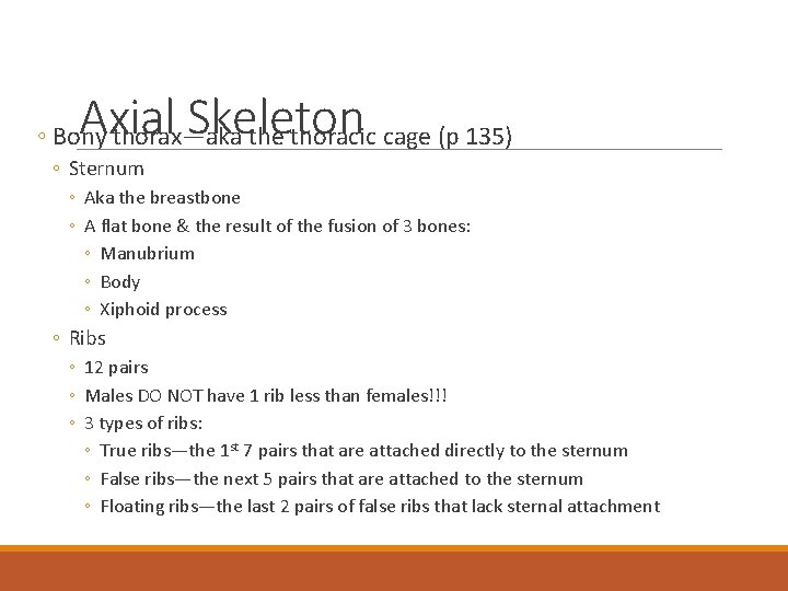 Axial Skeleton ◦ Bony thorax—aka the thoracic cage (p 135) ◦ Sternum ◦ Aka