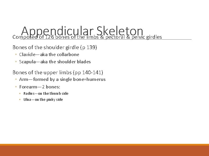 Appendicular Skeleton Composed of 126 bones of the limbs & pectoral & pelvic girdles