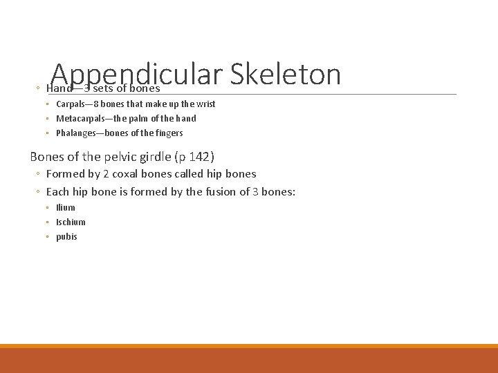 Appendicular Skeleton ◦ Hand— 3 sets of bones ◦ Carpals— 8 bones that make