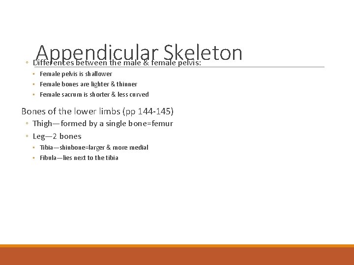 Appendicular Skeleton ◦ Differences between the male & female pelvis: ◦ Female pelvis is