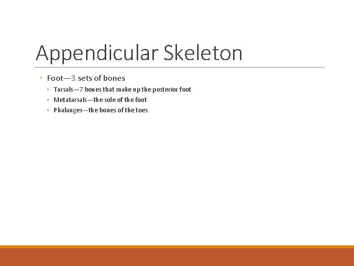 Appendicular Skeleton ◦ Foot— 3 sets of bones ◦ Tarsals— 7 bones that make