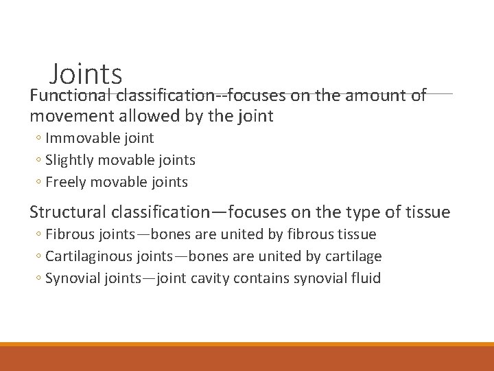 Joints Functional classification--focuses on the amount of movement allowed by the joint ◦ Immovable