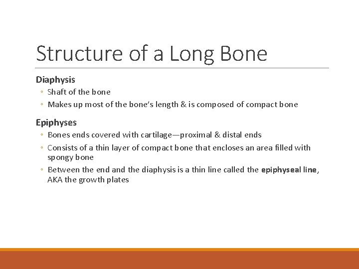 Structure of a Long Bone Diaphysis ◦ Shaft of the bone ◦ Makes up