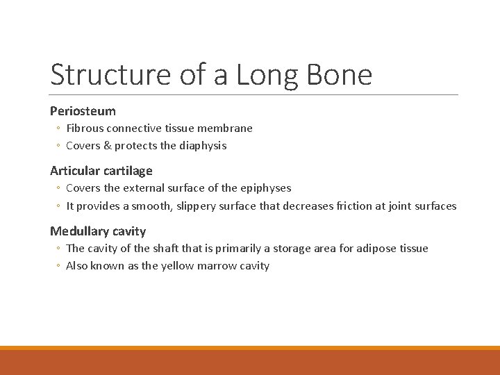 Structure of a Long Bone Periosteum ◦ Fibrous connective tissue membrane ◦ Covers &