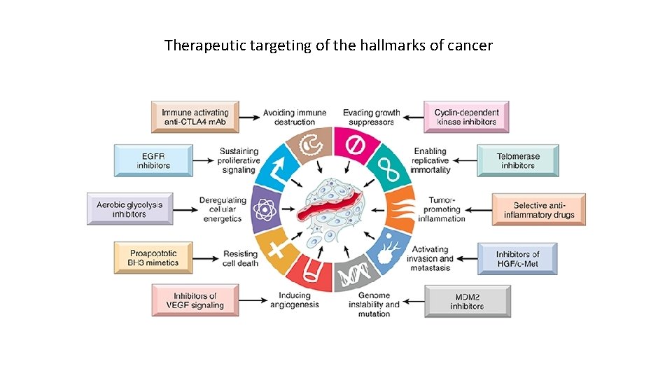 Therapeutic targeting of the hallmarks of cancer 