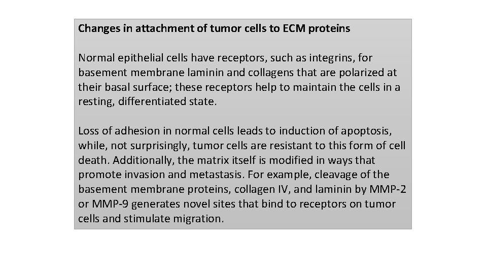 Changes in attachment of tumor cells to ECM proteins Normal epithelial cells have receptors,