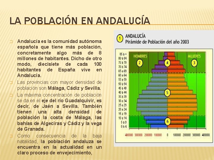LA POBLACIÓN EN ANDALUCÍA � � Andalucía es la comunidad autónoma española que tiene