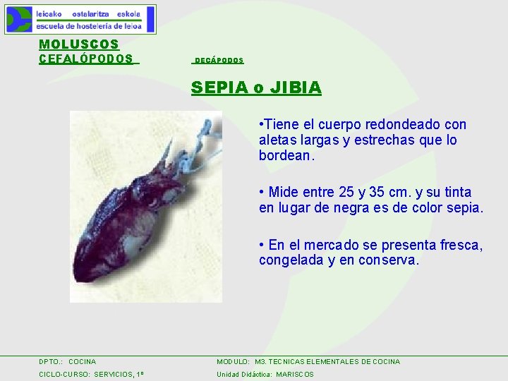 Gibia LOS MARISCOS Definicin Animales acuticos marinos o continentales
