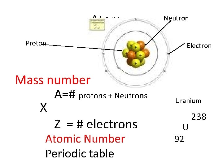 Atom Proton Mass number A=# protons + Neutrons X Z = # electrons Atomic