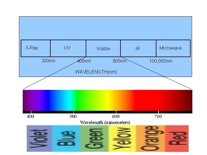 X-Ray UV 200 nm Visible 400 nm IR 800 nm WAVELENGTH(nm) Microwave 100, 000