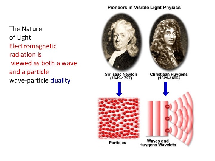 The Nature of Light Electromagnetic radiation is viewed as both a wave and a