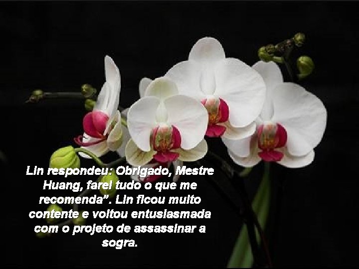 Lin respondeu: Obrigado, Mestre Huang, farei tudo o que me recomenda”. Lin ficou muito