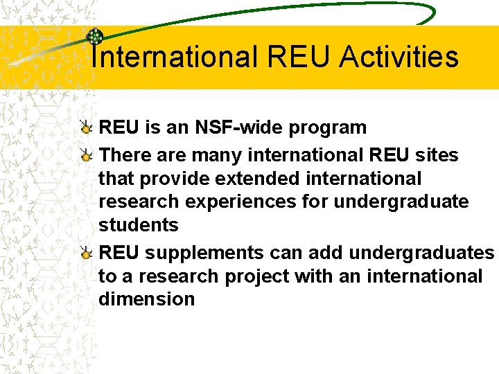 International REU Activities REU is an NSF-wide program There are many international REU sites