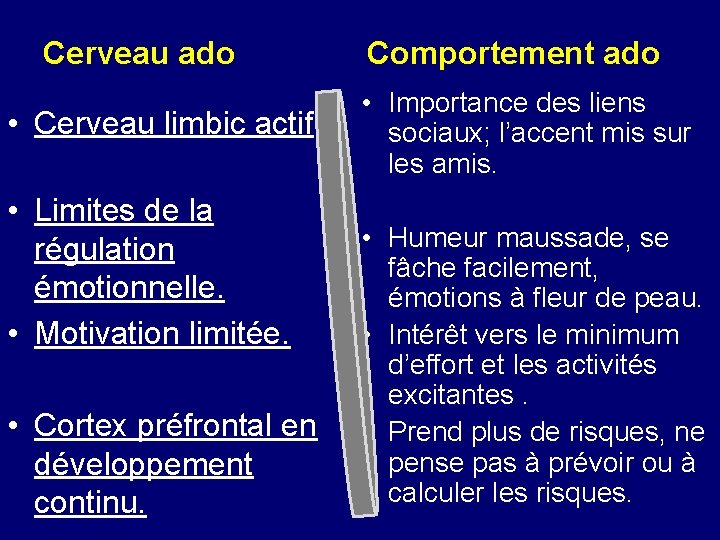 Cerveau ado • Cerveau limbic actif • Limites de la régulation émotionnelle. • Motivation