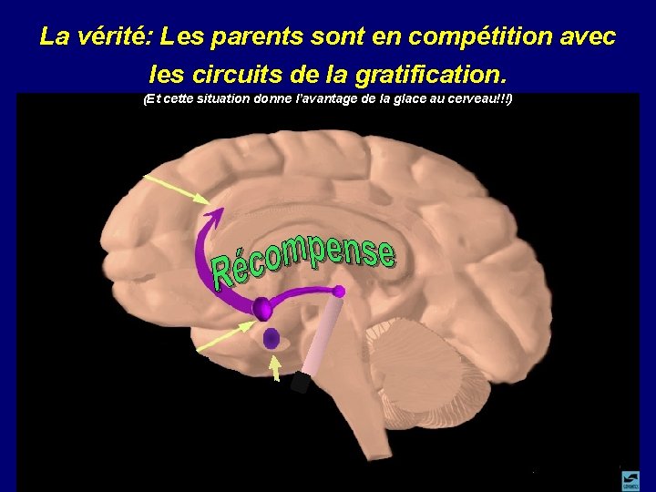 La vérité: Les parents sont en compétition avec les circuits de la gratification. (Et