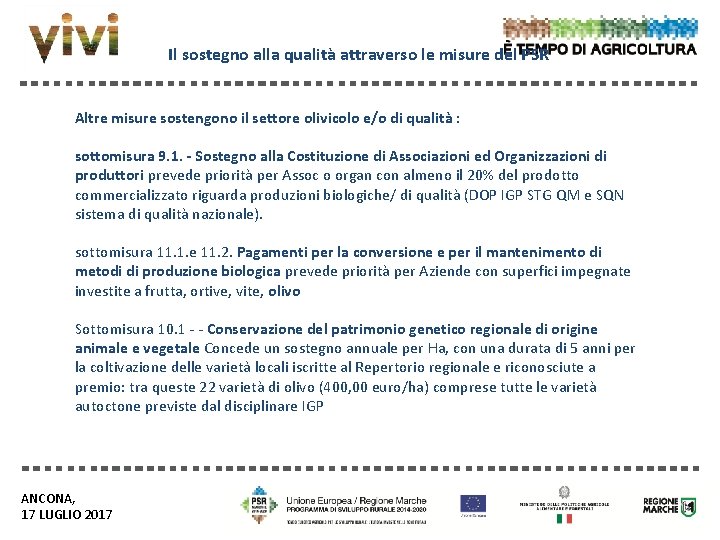 Il sostegno alla qualità attraverso le misure del PSR Altre misure sostengono il settore Il sostegno alla qualità attraverso le misure del PSR Altre misure sostengono il settore