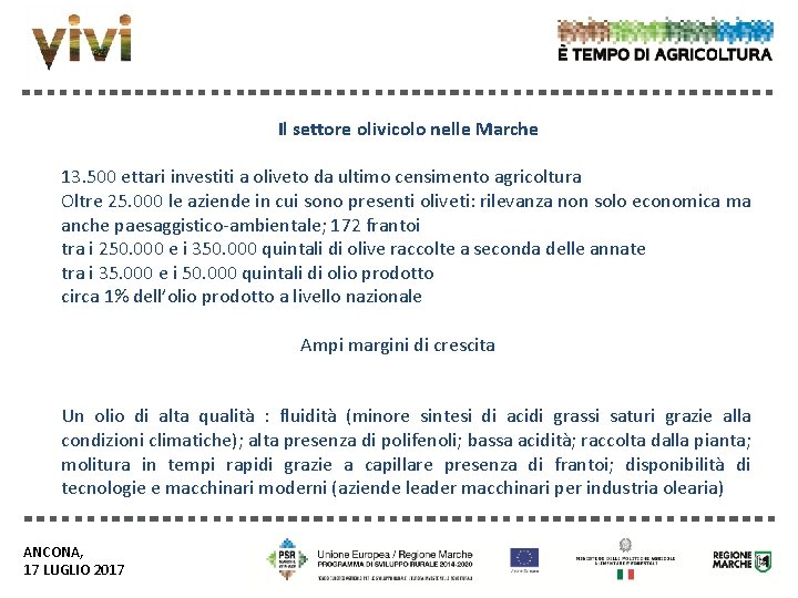 Il settore olivicolo nelle Marche 13. 500 ettari investiti a oliveto da ultimo censimento Il settore olivicolo nelle Marche 13. 500 ettari investiti a oliveto da ultimo censimento